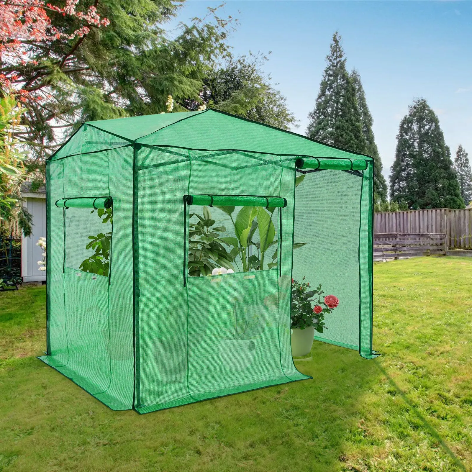 Easy Setup 8x6 Instant Pop Up Greenhouse